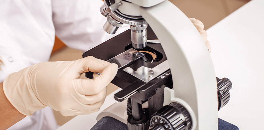 In-House Laboratory